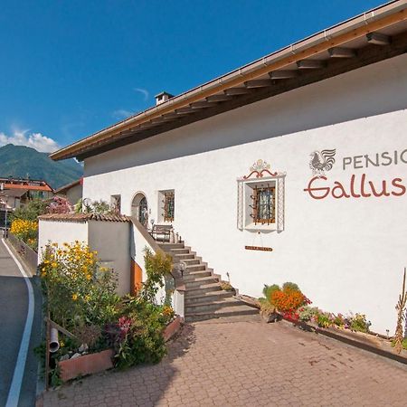 לאצ'ס Pension Gallus מראה חיצוני תמונה